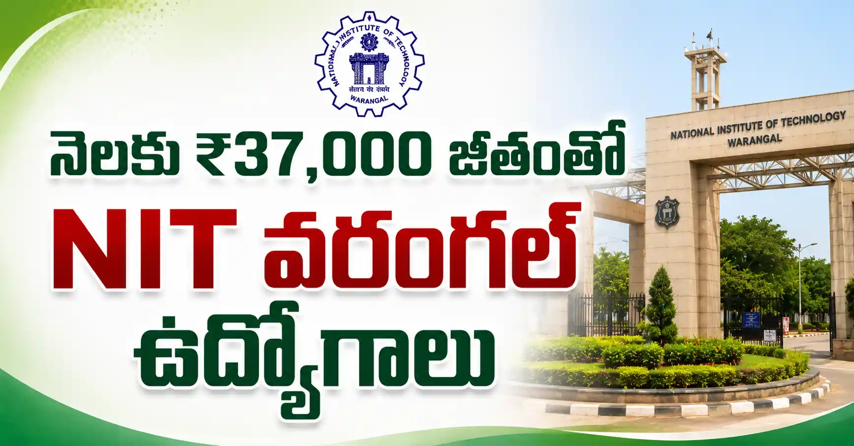 Alt Text: NIT Warangal JRF Recruitment 2026 నోటిఫికేషన్, Biotechnology విభాగంలో ఒక పోస్టు, నెలకు రూ.37,000 జీతం, చివరి తేదీ 31-07-2026