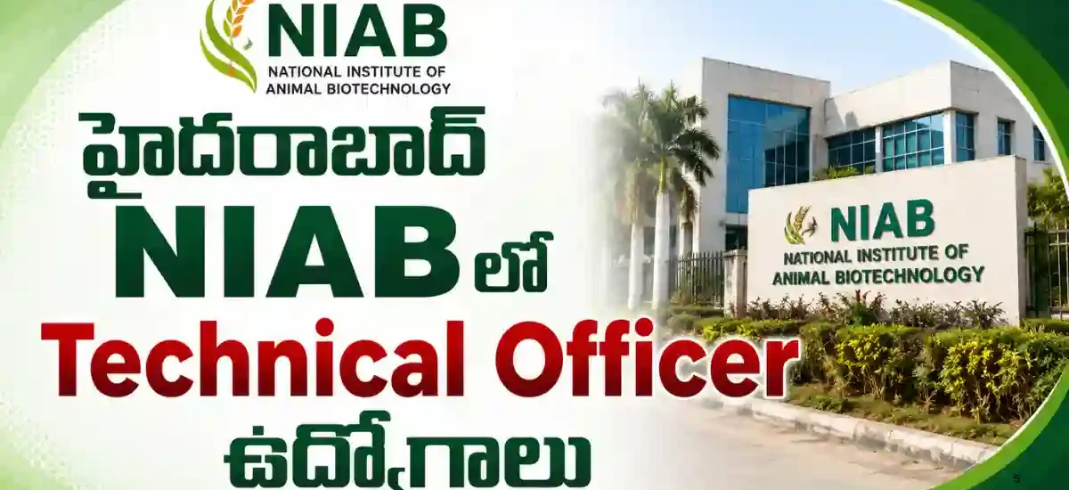 NIAB Technical Officer Recruitment 2026లో 1 పోస్టు, B.Sc, B.Tech, B.V.Sc లేదా M.Sc అర్హతతో ఆన్లైన్ దరఖాస్తు చివరి తేదీ 14-08-2026