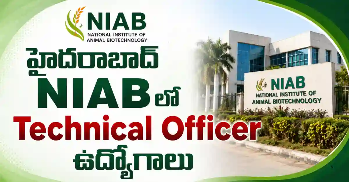 NIAB Technical Officer Recruitment 2026లో 1 పోస్టు, B.Sc, B.Tech, B.V.Sc లేదా M.Sc అర్హతతో ఆన్‌లైన్ దరఖాస్తు చివరి తేదీ 14-08-2026