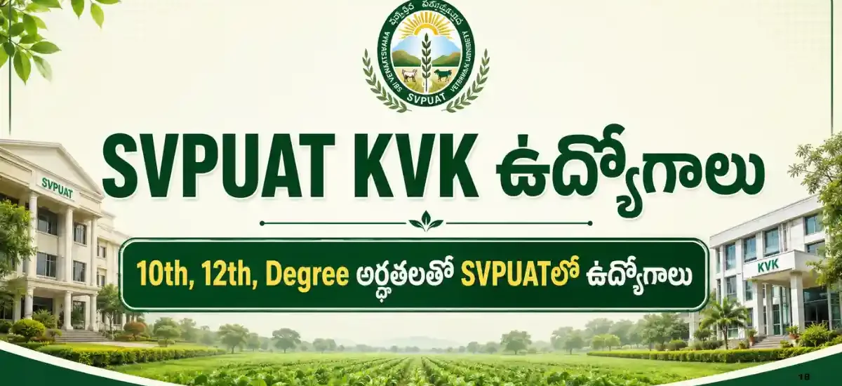 ఎన్‌ఐటీ వరంగల్ రిక్రూట్‌మెంట్ 2026 ద్వారా 5 అధికారుల పోస్టులకు బీటెక్, ఎంఎస్సీ, ఎంసీఏ, పీజీ అభ్యర్థుల ఆన్‌లైన్ దరఖాస్తు సమాచారం