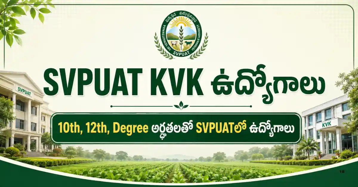 ఎన్‌ఐటీ వరంగల్ రిక్రూట్‌మెంట్ 2026 ద్వారా 5 అధికారుల పోస్టులకు బీటెక్, ఎంఎస్సీ, ఎంసీఏ, పీజీ అభ్యర్థుల ఆన్‌లైన్ దరఖాస్తు సమాచారం