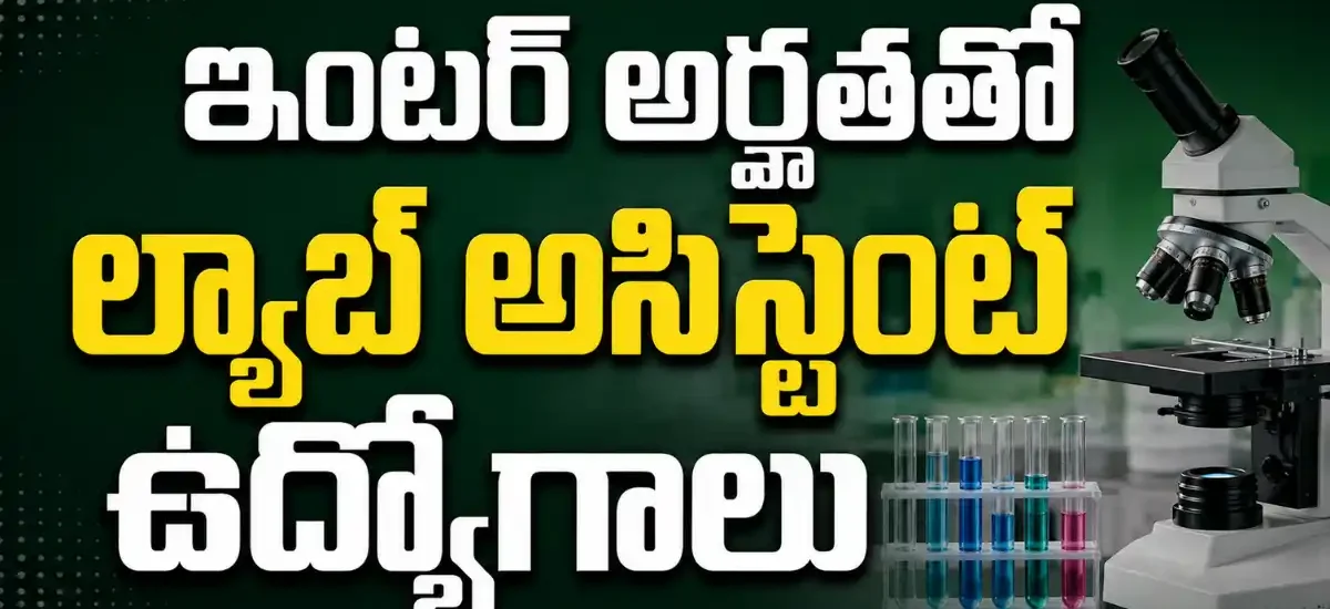 FDDI అంక్లేశ్వర్ Recruitment 2026లో 4 Junior Faculty, Lab Assistant పోస్టులు, 12th Pass నుంచి Master’s అర్హత, 25-08-2026 చివరి తేదీ వివరాలు