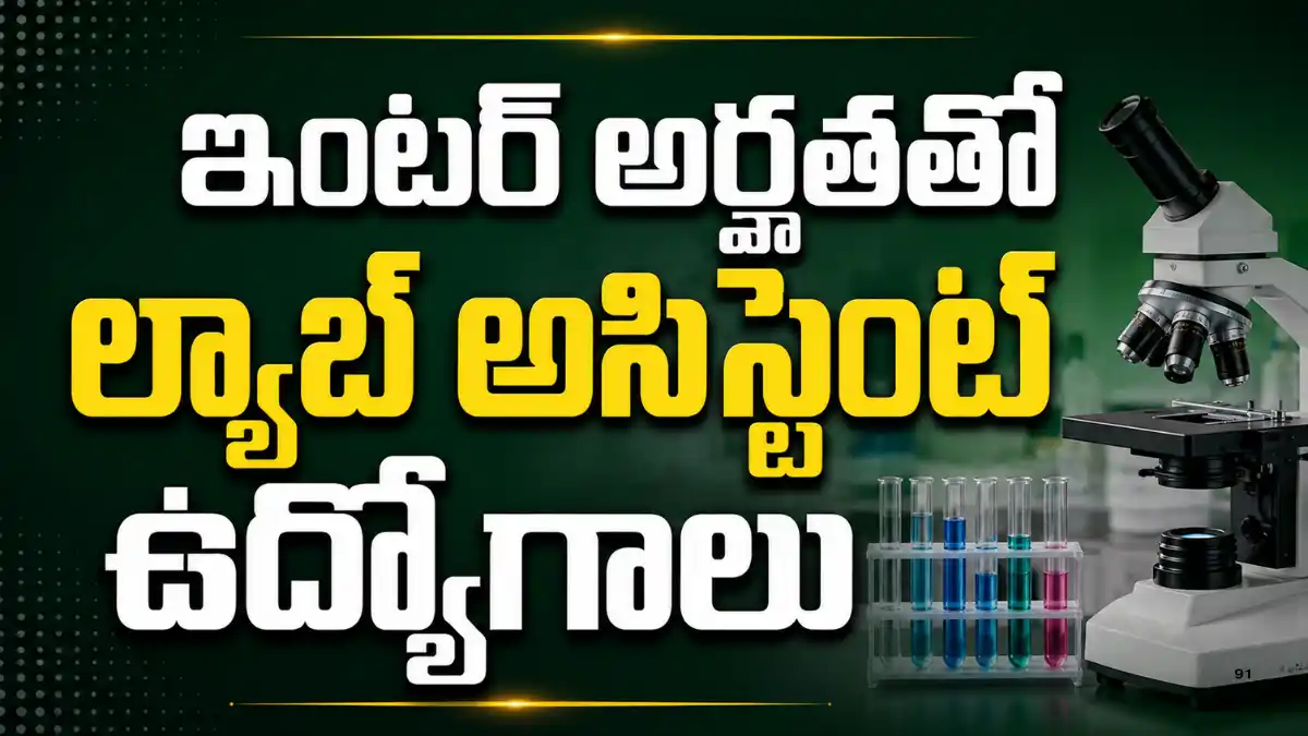 FDDI అంక్లేశ్వర్ Recruitment 2026లో 4 Junior Faculty, Lab Assistant పోస్టులు, 12th Pass నుంచి Master’s అర్హత, 25-08-2026 చివరి తేదీ వివరాలు