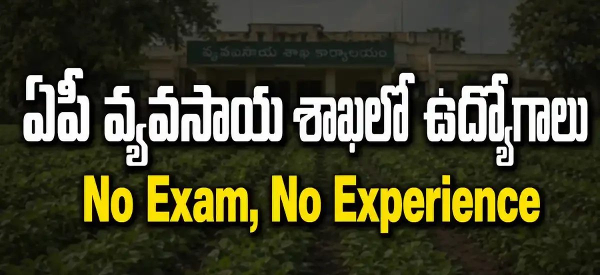 ANGRAU Teaching Associate, Teaching Assistant 4 పోస్టుల వాక్-ఇన్ నోటిఫికేషన్ 2026 – మారుటేరు, రంపచోడవరం ఉద్యోగాల అర్హత, జీతం, ఇంటర్వ్యూ తేదీ వివరాలు