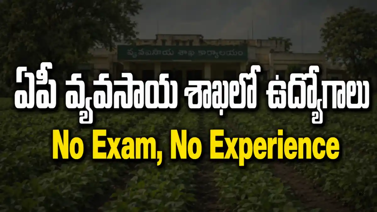ANGRAU Teaching Associate, Teaching Assistant 4 పోస్టుల వాక్-ఇన్ నోటిఫికేషన్ 2026 – మారుటేరు, రంపచోడవరం ఉద్యోగాల అర్హత, జీతం, ఇంటర్వ్యూ తేదీ వివరాలు